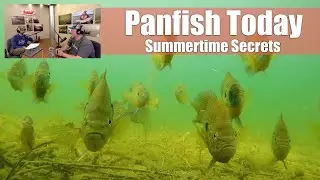 Unlocking the Secrets of Summer Panfishing