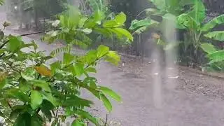 Suasana Di Pedesaan Ketika Hujan Menghadirkan Ketenangan #rain #relaxing #nature #rainsounds