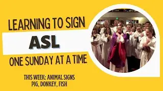 Learning Sign Language | ASL Minute |