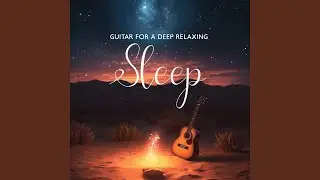 Nighttime Harmony