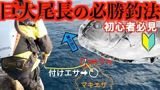 【高知県沖ノ島（東のハナの高場)】尾長攻略釣法を紹介