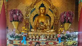 Phul Mehta is live