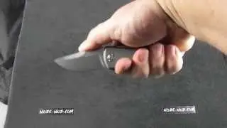 ZT0900 Zero Tolerance George Titanium Framelock