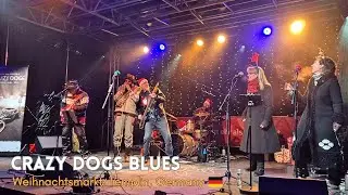 Группа Crazy Dogs &mdash; выступление в стиле блюз на рождественской ярмарке в Темплине, Германия.