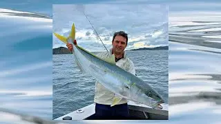 How to catch fish on softbaits