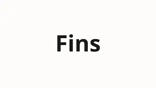 How to pronounce Fins