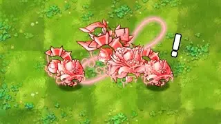 融合版：赤渊蚀月神卷心菜