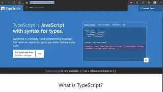 Watch me learn TypeScript