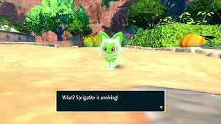 Sprigatito evolution line Pokemon Scarlet