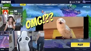 Pokimane reacts to FUNNY MEME VIDEOS