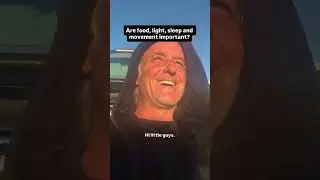 Важны ли еда, свет, сон и движение?