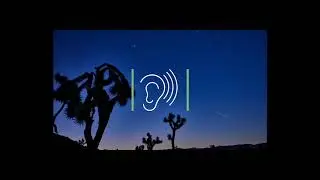 The ecology of sound | Cronkite News
