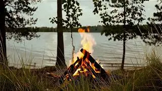 Campfire and Nature : Relax for 30 minutes