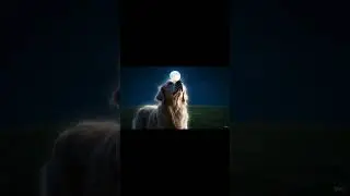 dog Vs wolf transformation 🐺🐶 #transformation #subscribe my channel