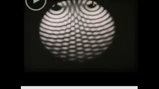 Designed Compound Eyes