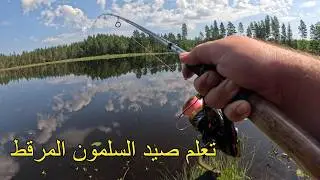  طريقة صيد سمك السلمون المرقط