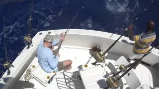 Deep sea fishing Mauritius. Shark (+50kg) attack part 2