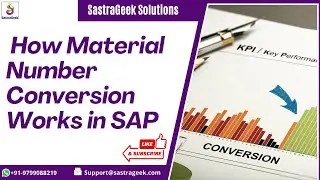 How Material Number Conversion Works in SAP
