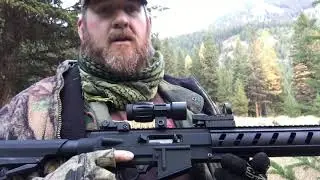 Ruger 10/22 tactical
