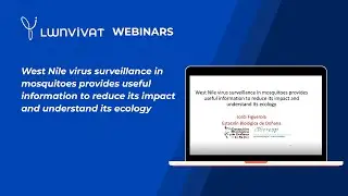 LWNVIVAT webinars: West Nile virus surveillance in mosquitoes
