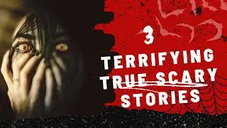 The Dark Secrets Behind the Top 3 Scary True Stories