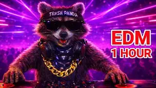 🦝 Bass Boosted Workout Mix 1 Hour+ | Bass House & Tech House 🔥