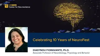 Celebrating 10 Years of NeuroFest