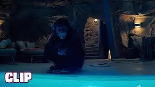 PRIMATE (2026) CLIP 