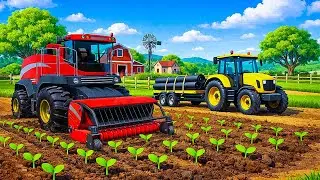 Modern Farming Process 🚜💪Harvesting Crops with Combine Harvester & Tractor Trailer 🌾💥| Farm Vehicles