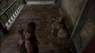 Small new Ellie details in the remake