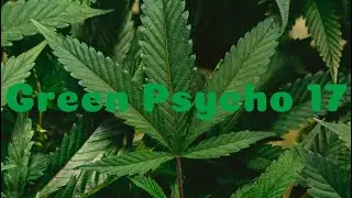 Green Psycho 17 Theme Song