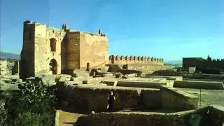 luis de los pelalos 2011 y suso brino fransi.wmv