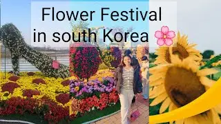 මල්වලින් මෙච්චර දෙයක් කරන්න පුලුවන්ද  😍 South korea 🇰🇷