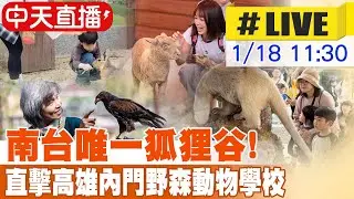 【中天直播#LIVE】南台唯一狐狸谷! 直擊高雄內門野森動物學校 20260118@中天新聞CtiNews