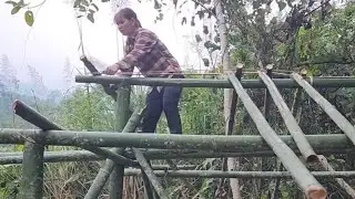 The Decision to Build a Bamboo House in the Forest | A Single Mother&rsquo;s New Life
