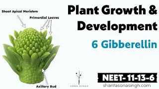 Cytokinin | Plant Growth & Development 6 | NCERT Mapped NEET Biology