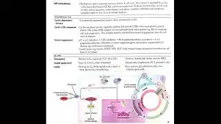 Cell cycle explained (In Hindi Podcast) #MedicalPodcast #CellCycle #CellDivision #biochemistry