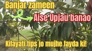 Banner ko upjau ese anaye #plants