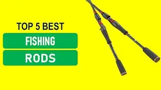 Best Budget Fishing Rods 2026