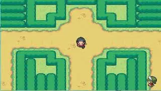Relic Castle Game Jam #4:Pokemon False Order