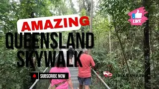 Mamu Skywalk Paronella Park Far North Queensland - come see the view !!
