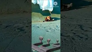 #applianc #funny #appliancer #comedyfilms #sanekvideo #vfx