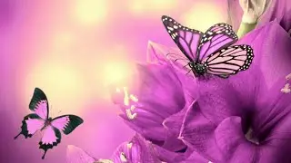 Beautiful Romantic Ringtone for technology