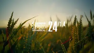 Canon FD 24mm f1.4 Aspherical | Lumix S9