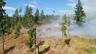 Roslyn Taking Action Against Wildfires