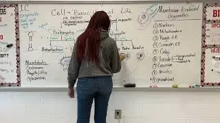 Standard 1C (Cell Structure & Function) Mini Review