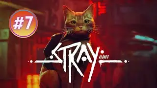 😼STRAY - FUGINDO DA CADEIA E SALVANDO O B-12
