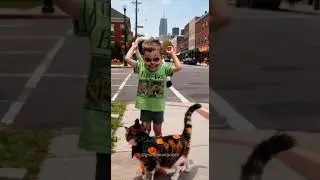 Halloween little boy costume face painting/surprise under the hat #cat #funny
