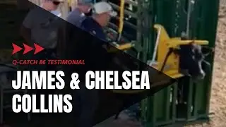 Q-Catch 86 Series Manual Cattle Chute | James & Chelsea Collins - Testimonial | Arrowquip