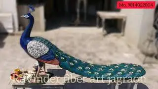 Peacock statue in fiberglass size 6' birds, animals, live portrait, spl.gurduwara gumbad palki sahib